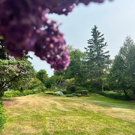 Maison Du Havre Petit Duplex Villa La Malbaie Eksteriør billede