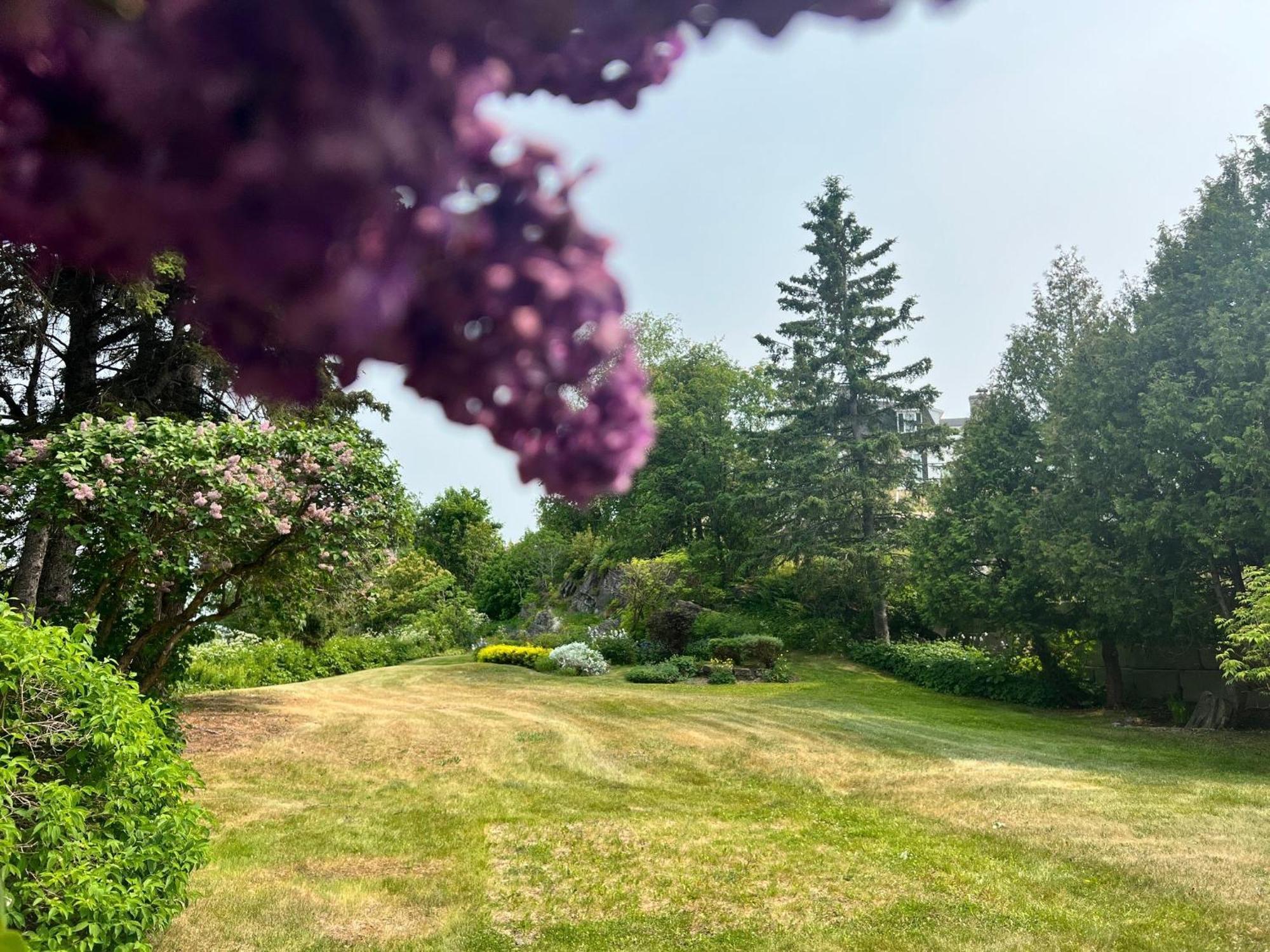 Maison Du Havre Petit Duplex Villa La Malbaie Eksteriør billede